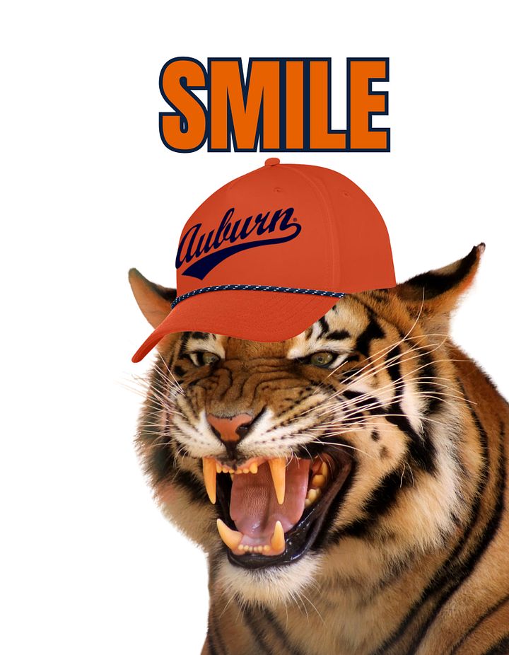Auburn Under Armour Rope Hat-Orange product image (2)