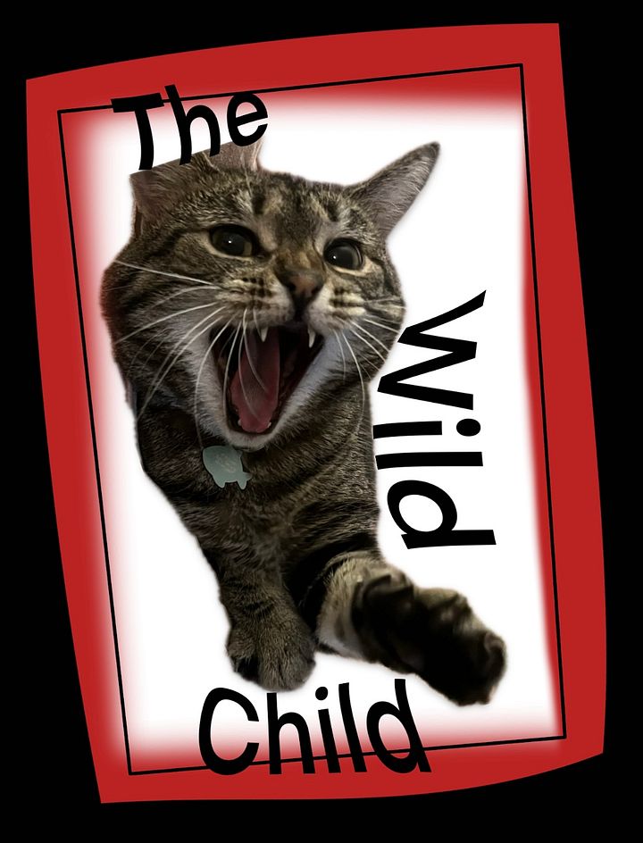 The Wild Child Sticker product image (1)