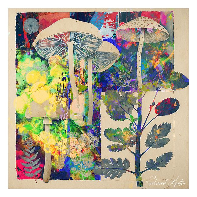 Downloadable Art by Edward Martin