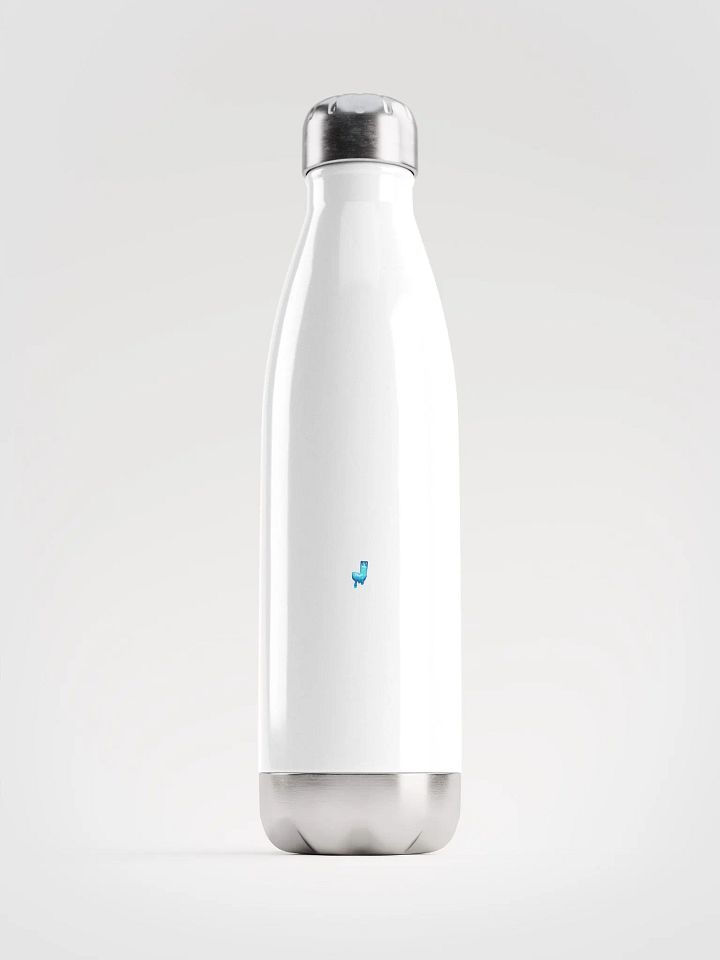 Insulated Stainless Steel Water Bottle product image (1)