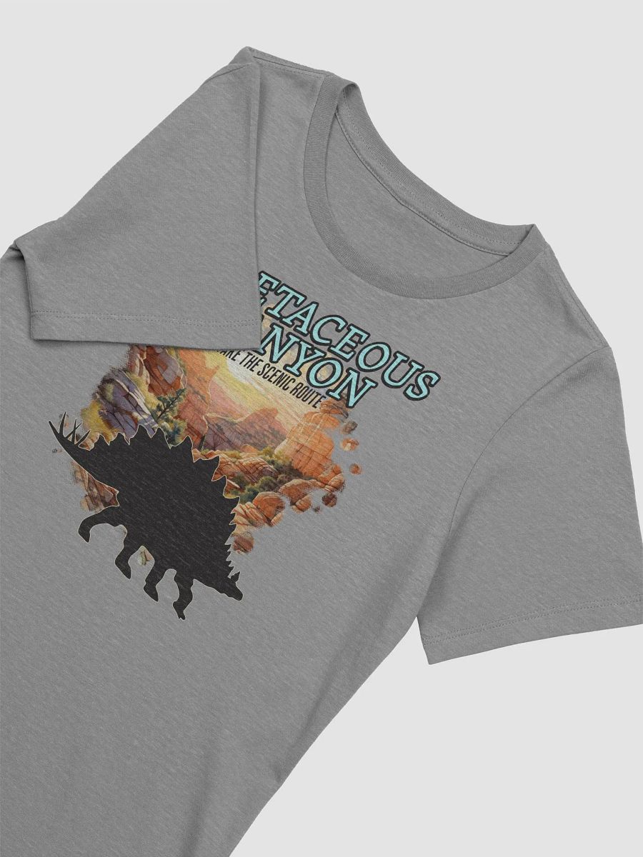 Cretaceous Canyon Women’s Stegosaurus Shirt product image (3)