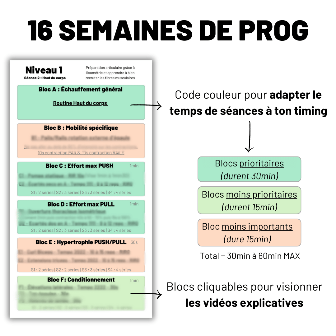 [Programme] Balèze aux élastiques NIVEAU 2 (niveau 1 offert) product image (4)