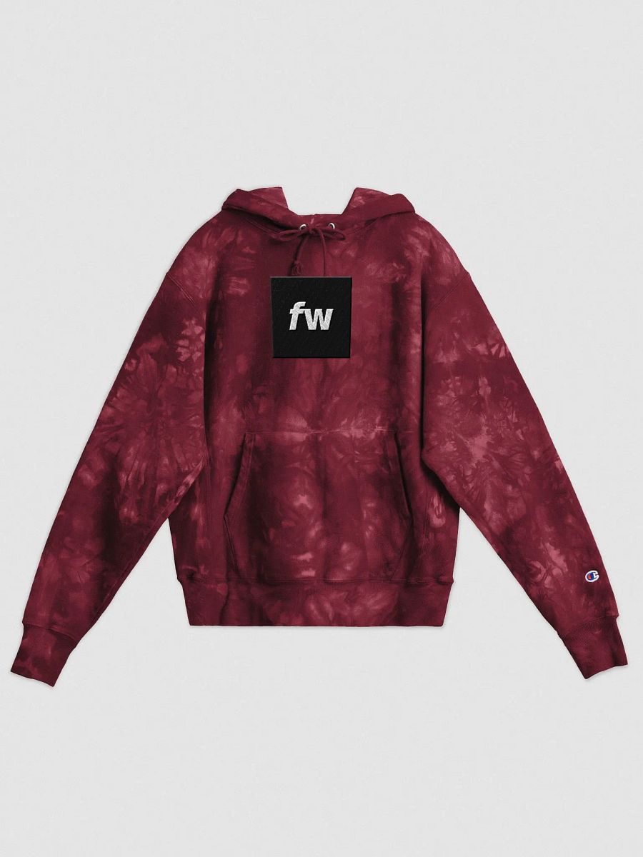 FW Tie-Dye Champion Hoodie product image (1)