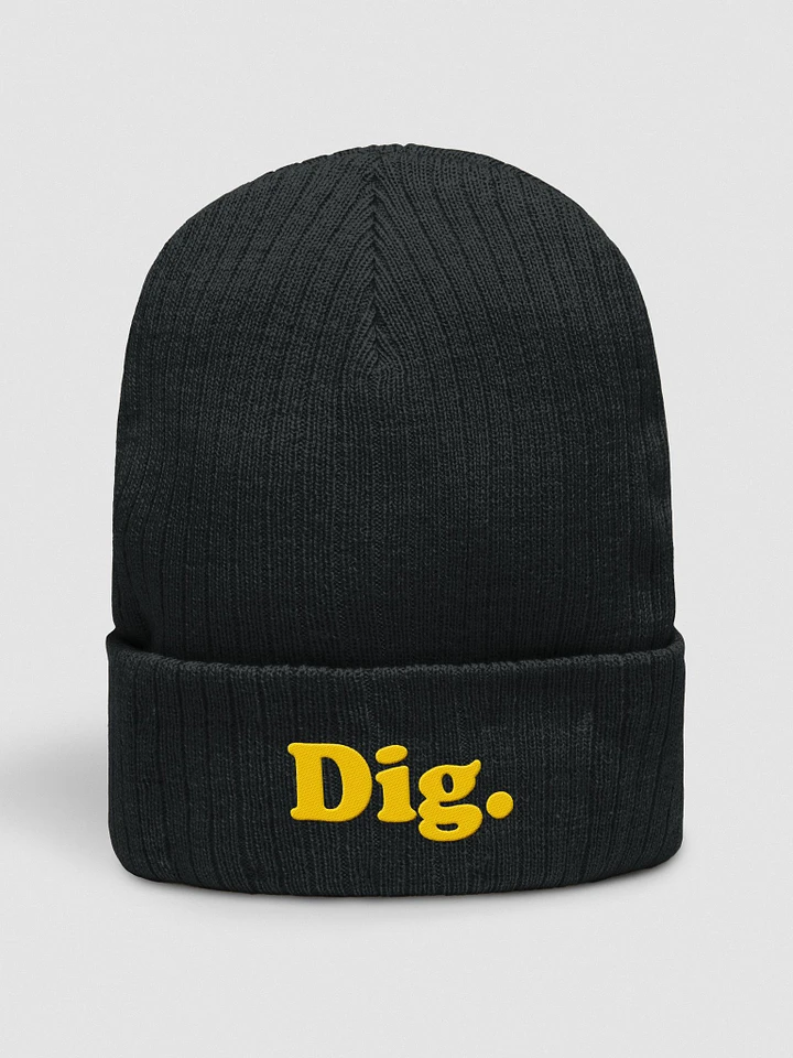 Dig. Beanie: Black product image (1)