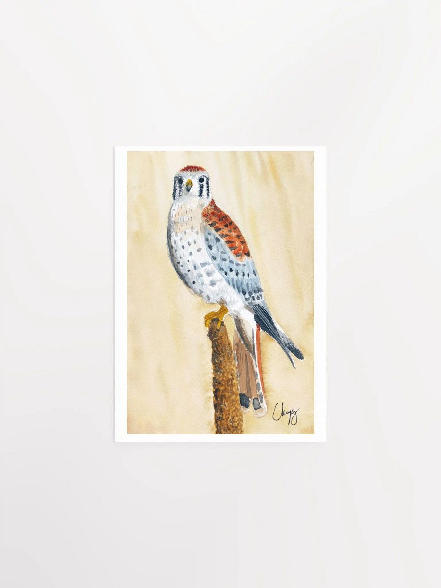 Kestrel Print product image (1)