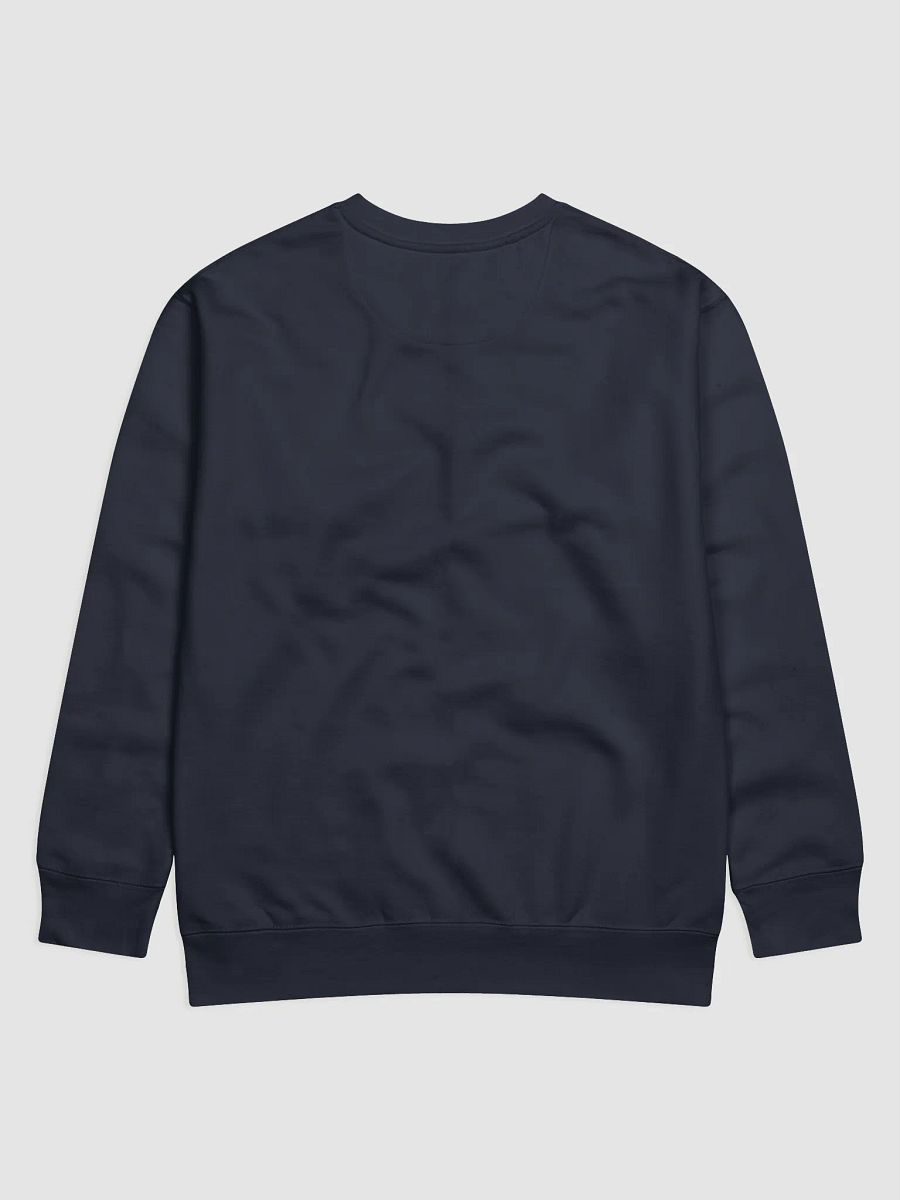 PARADOX SKYRIM SWEATSHIRT product image (9)