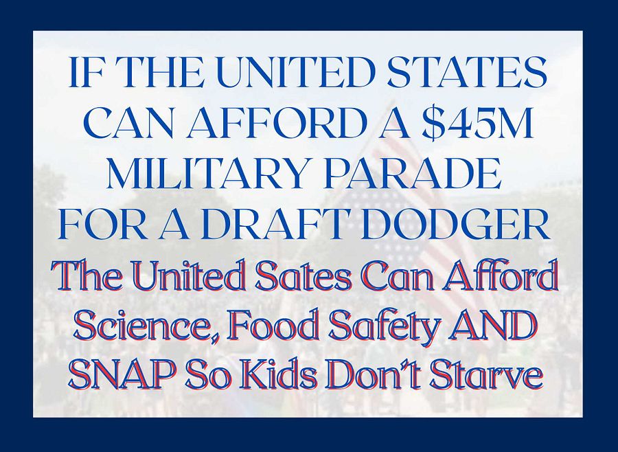 No Kings Day Is Every Day - SNAP vs Parade product image (2)