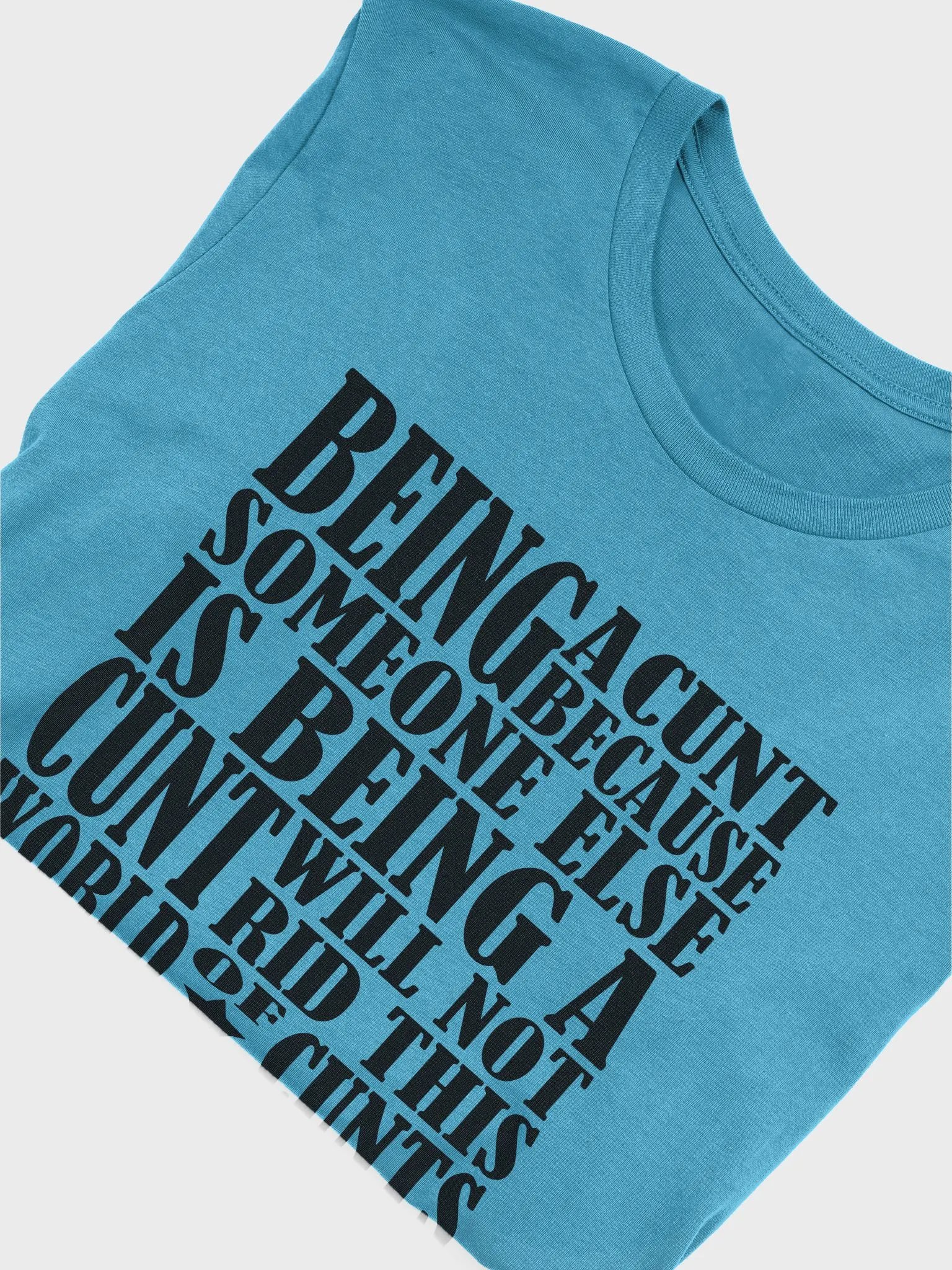 Stop Being A Cunt - Black Lettering - Bella+Canvas Supersoft T-Shirt product image (1)