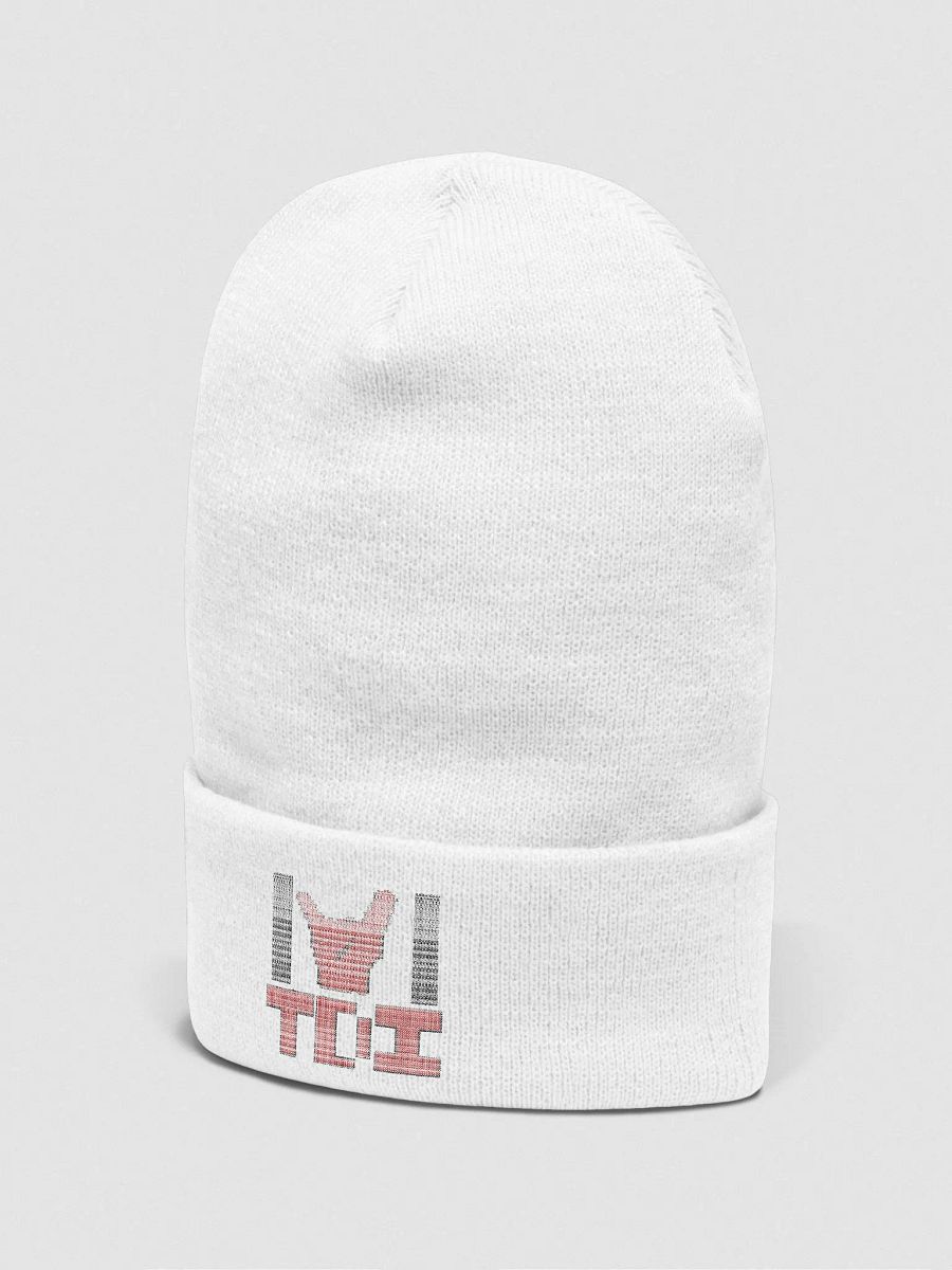 TDI Beanie product image (2)