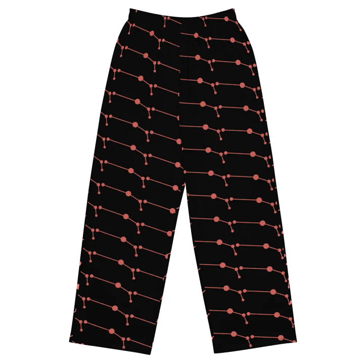 Connected Aries Unisex Wide-Leg Pants product image (1)