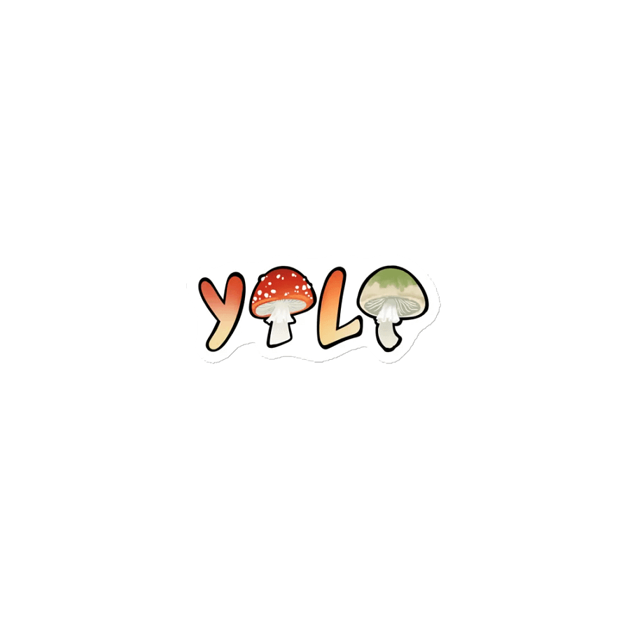 Yolo Magnet product image (1)