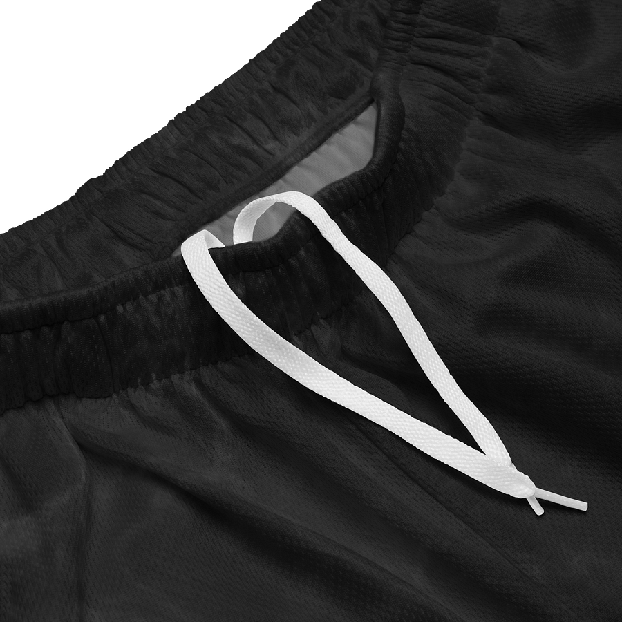 NOIR Mesh Shorts product image (3)