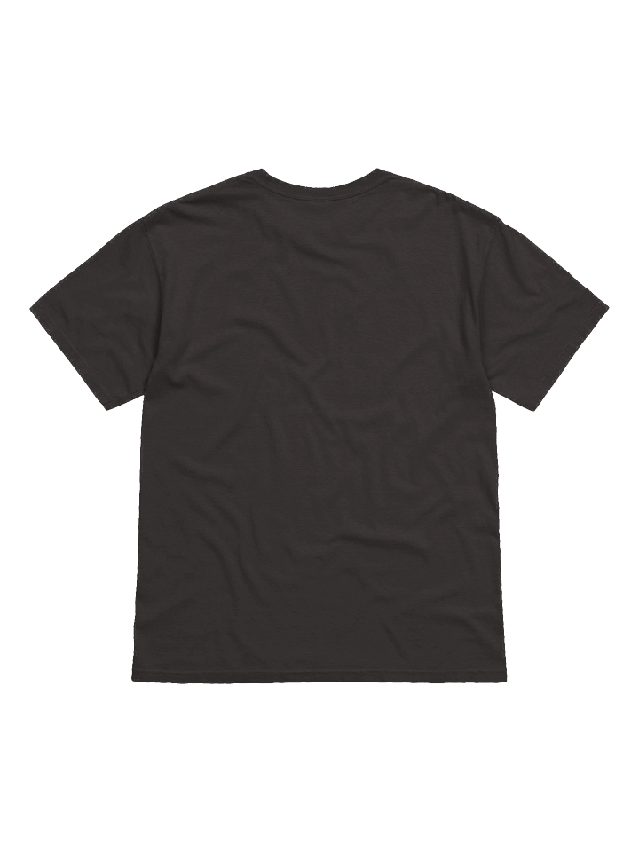 Stupid T-Shirt (Great Loop Edition) product image (6)