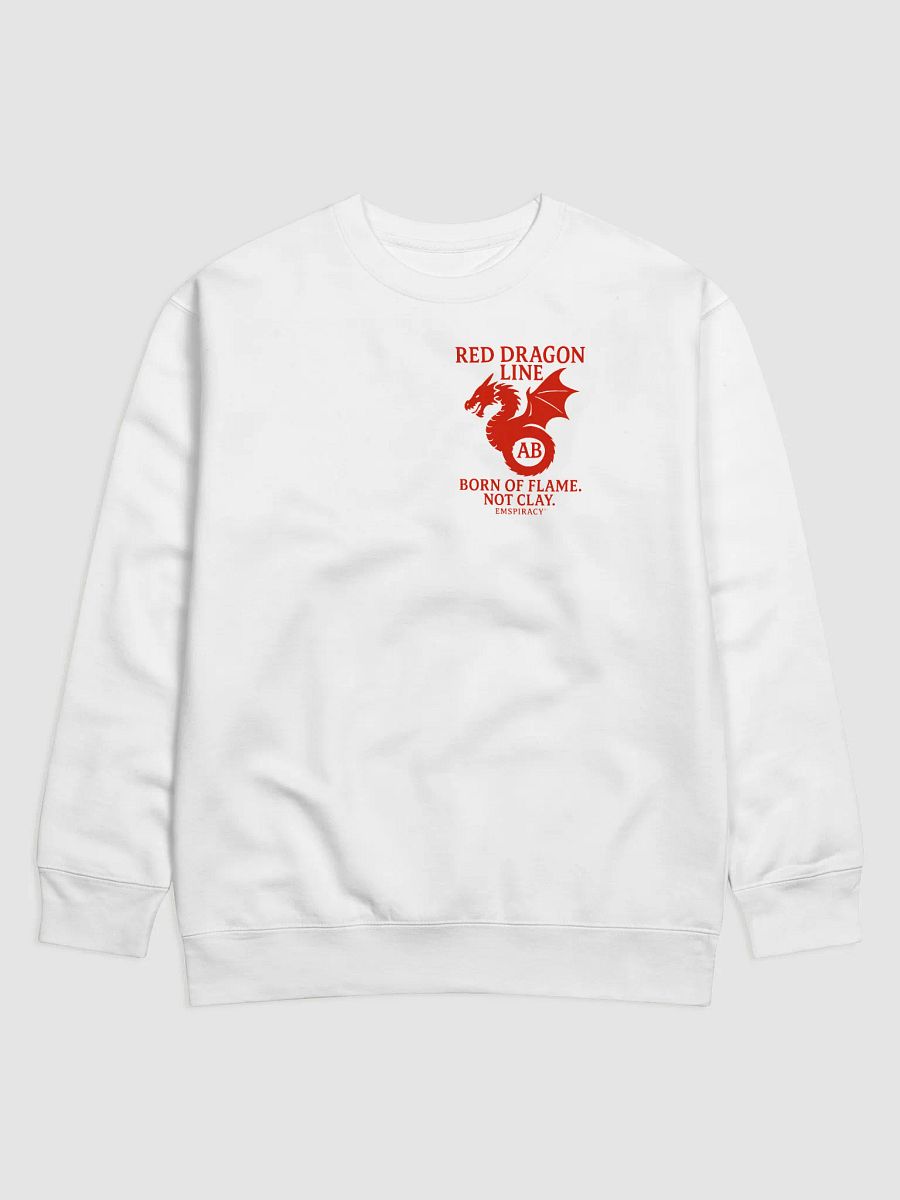 🟥 RED DRAGON-SWEATER product image (38)