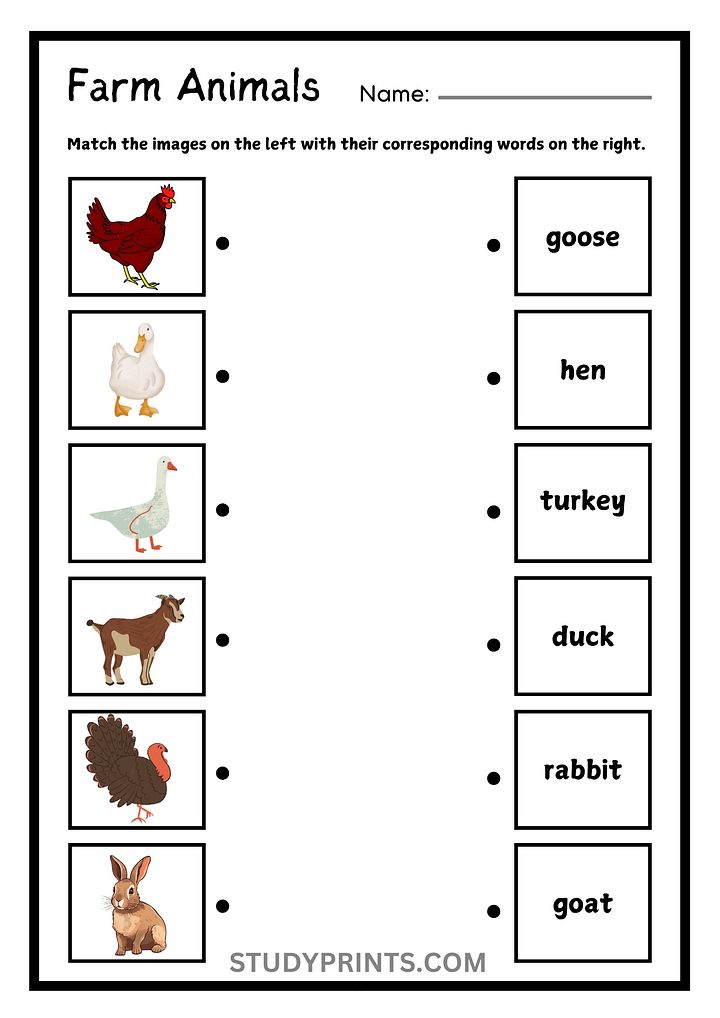 Farm Animals Matching Worksheets for Kids product image (1)