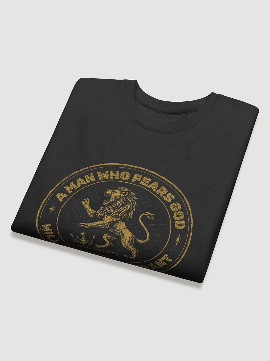 Fear No Tyrant sweater product image (26)