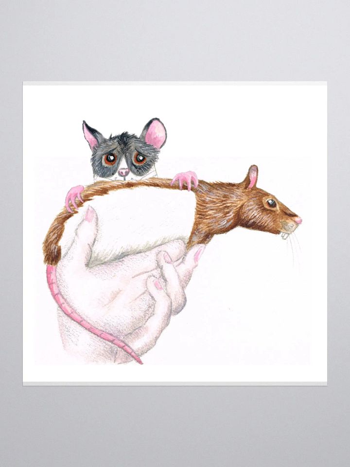 Cyrus rat hiding behind Torben rat sticker product image (3)