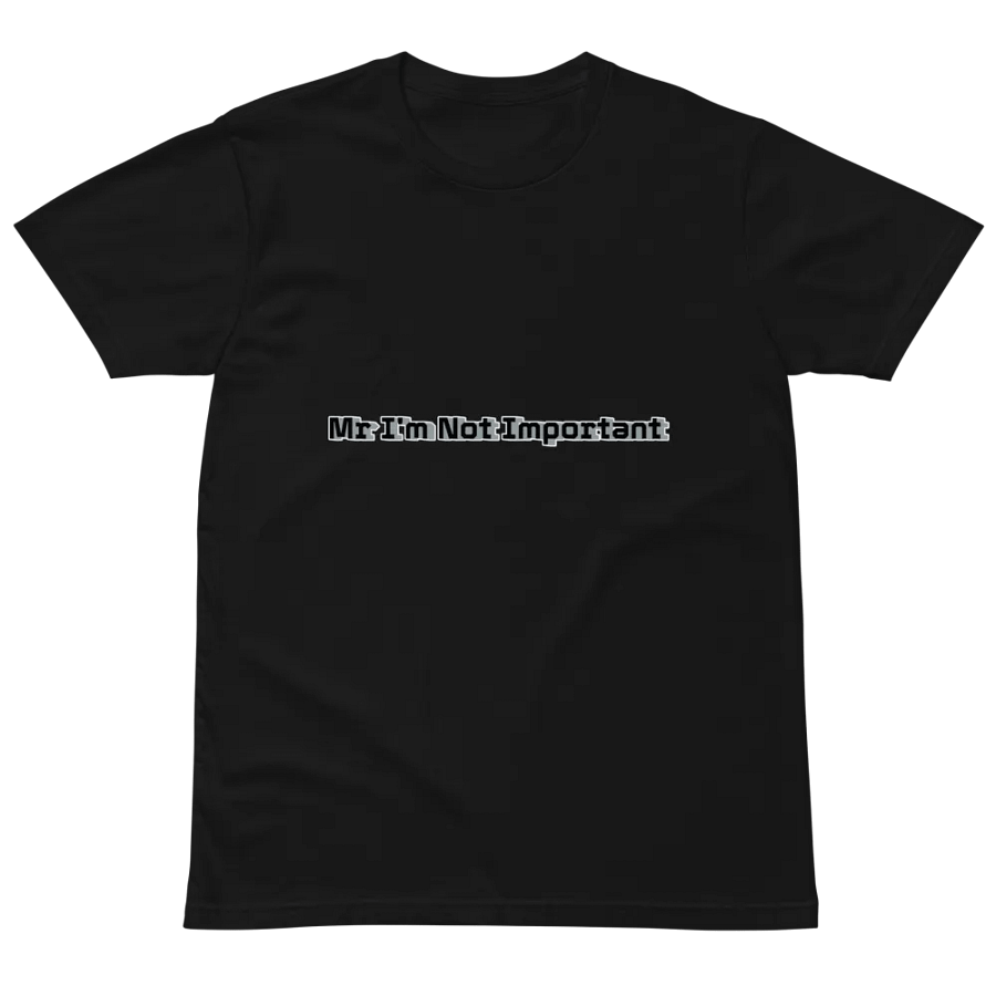 Unisex Premium T-Shirt - Mr I'm Not Important product image (10)