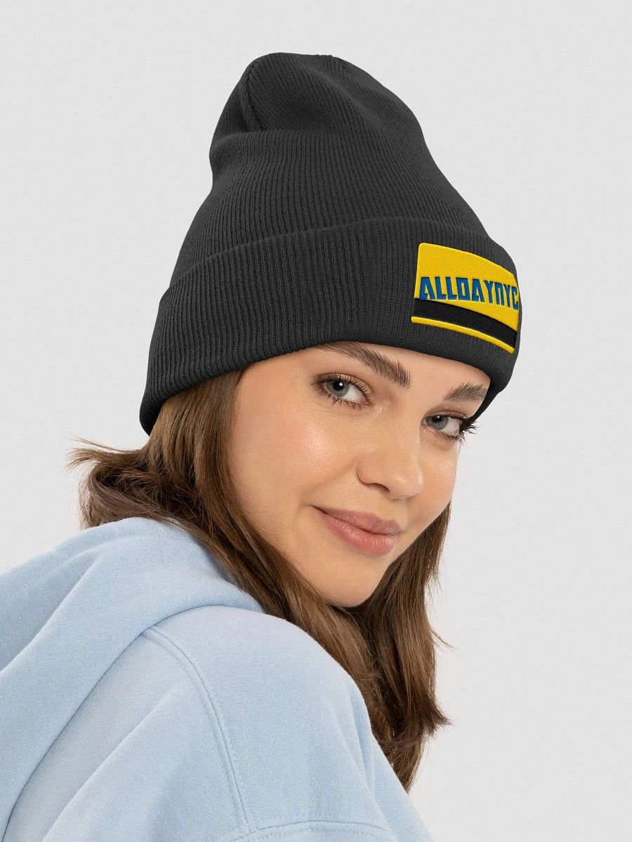 ALLDAYNYC Metro Card Beanie product image (4)