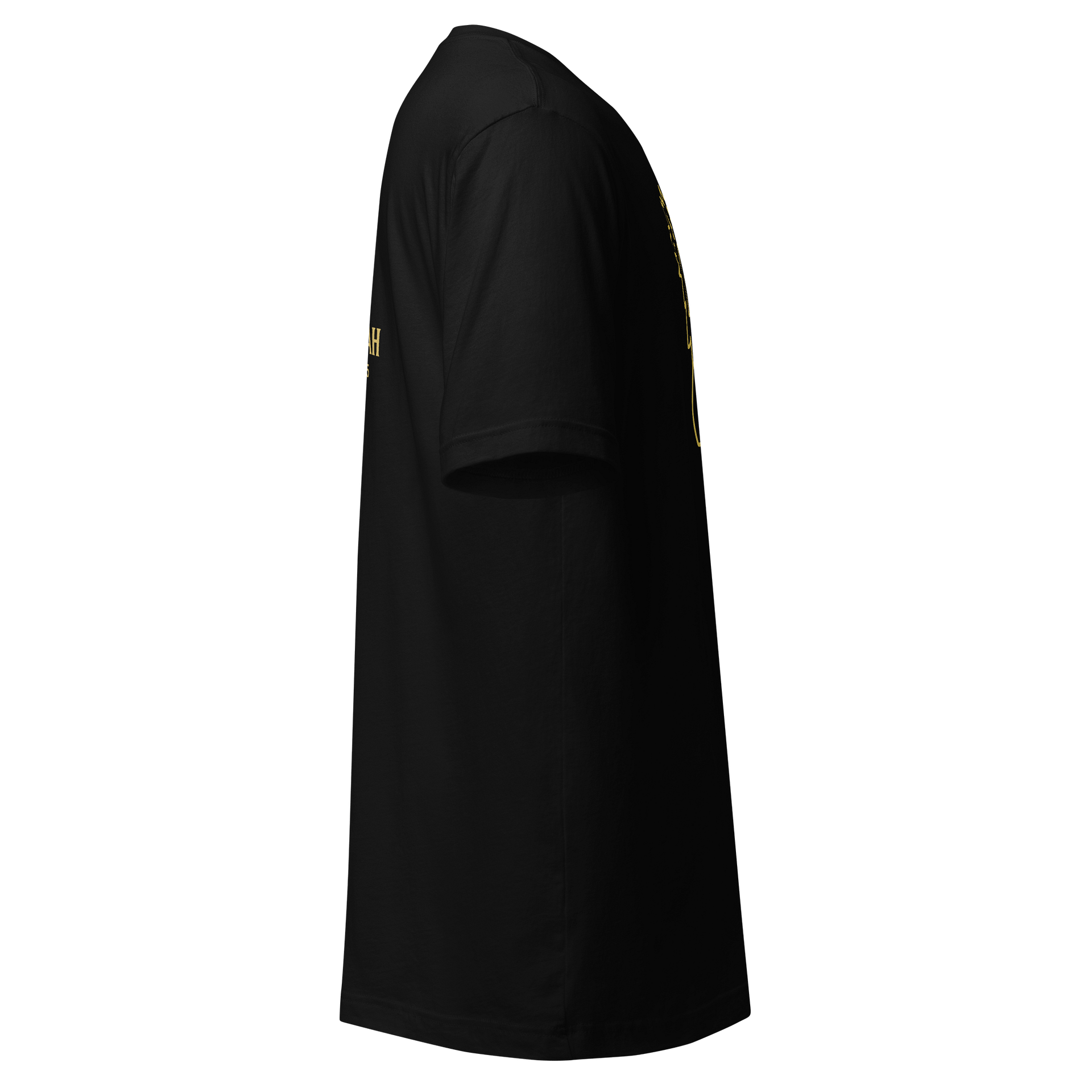 Lion of Judah Supersoft T-Shirt product image (12)