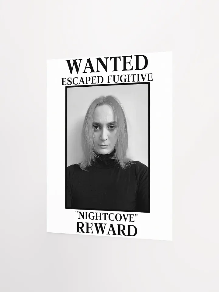 The Villain WANTED Poster product image (2)