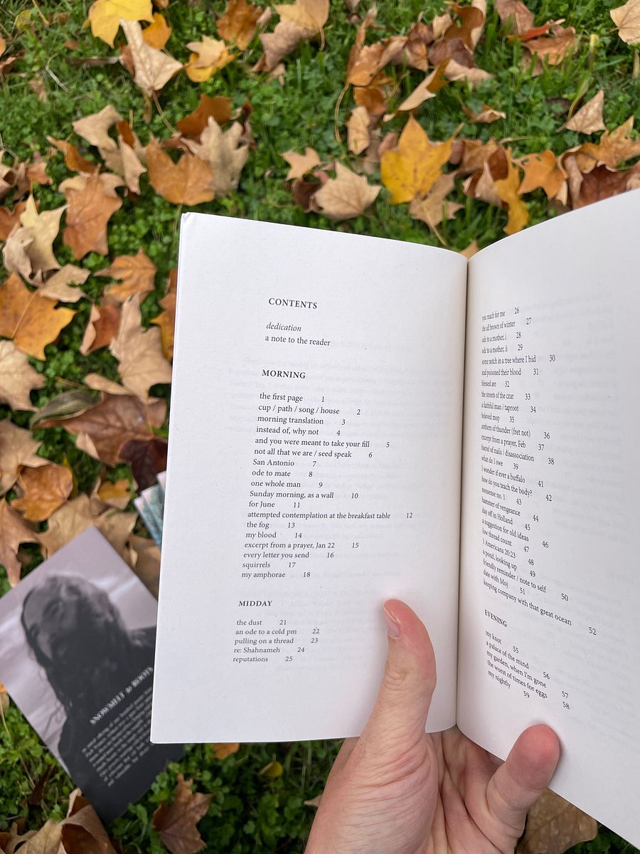 Snowmelt to Roots (poetry book) product image (6)