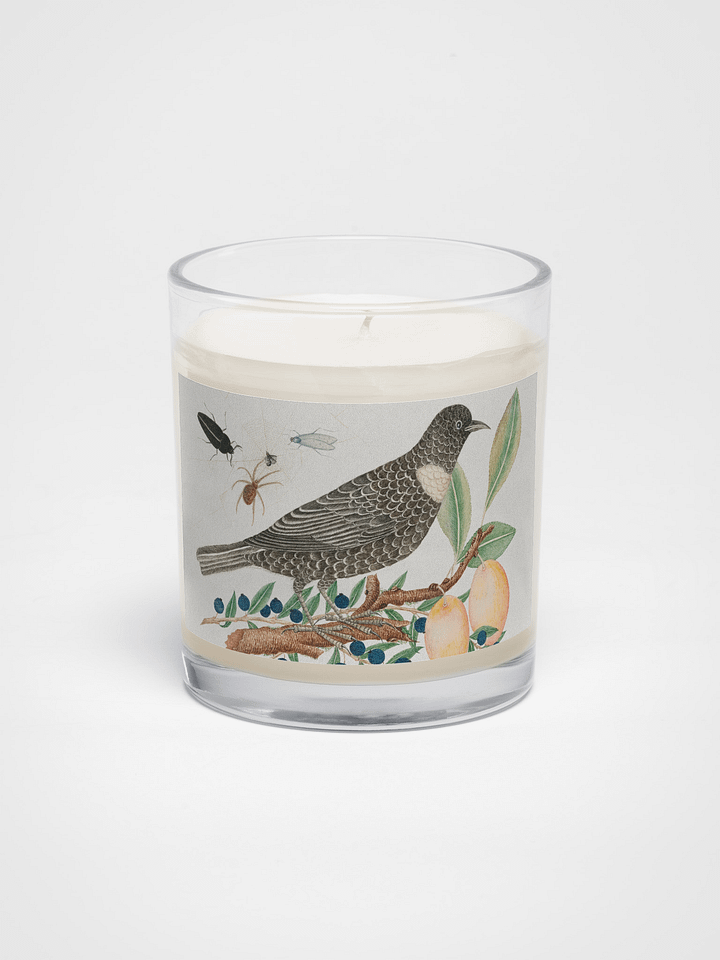 Nature's Serenity Soy Wax Candle product image (1)