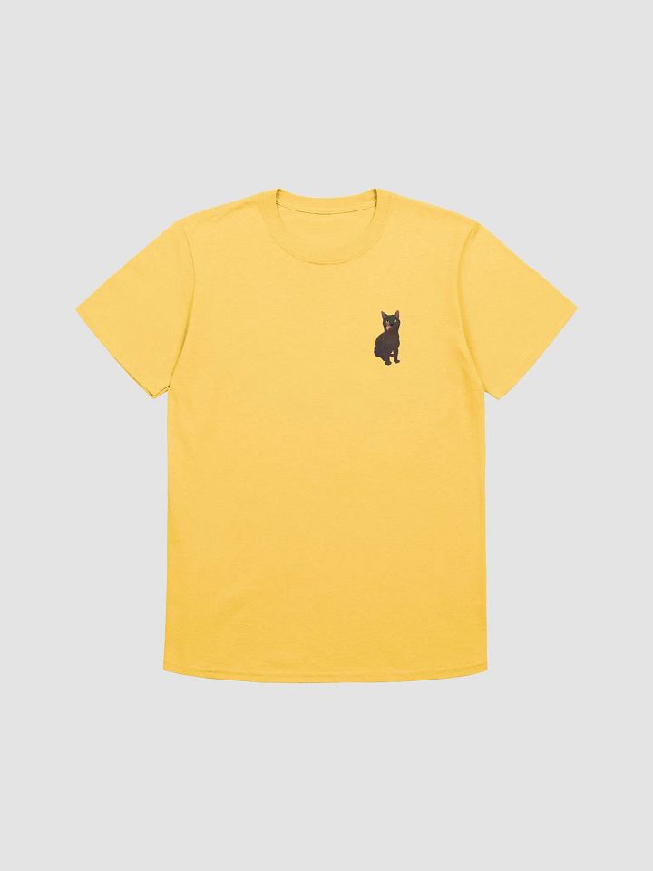 Raven logo T-shirt product image (9)