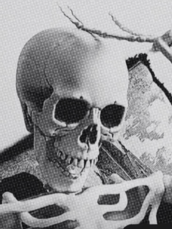 Mr Bob The Skeleton product image (1)