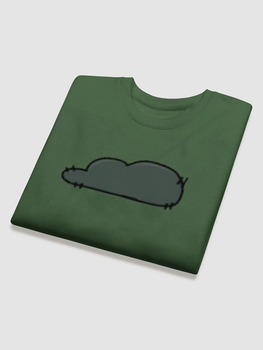 Dyan's Signature Green Sweater product image (4)