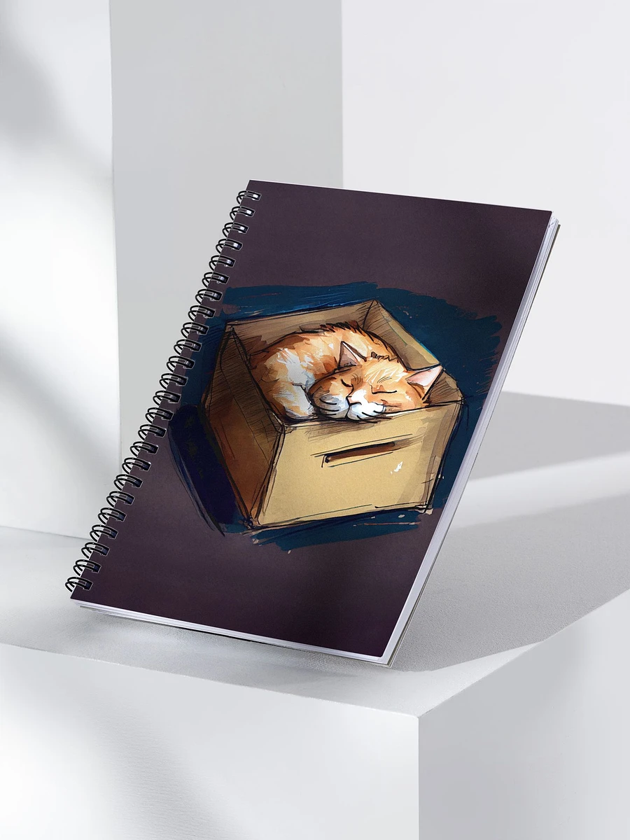 Kitty In A Box - Ginger Cat Spiral Notebook product image (3)