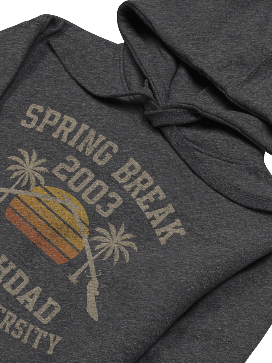 Spring Break 2003 Hoodie product image (3)