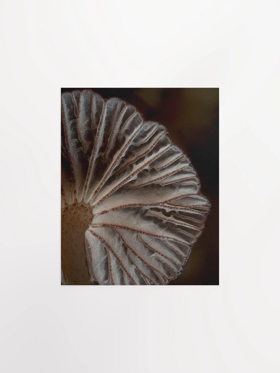 Purple Mycena Print product image (1)