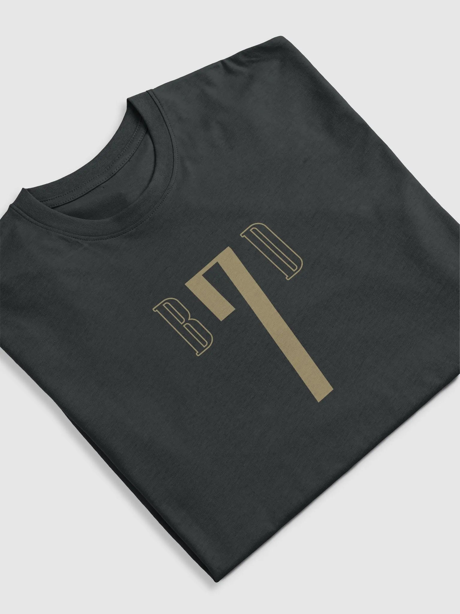 Men's Premium Heavyweight Tee product image (13)
