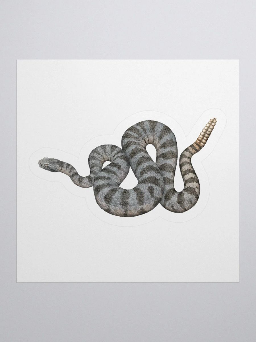 Die-Cut Sticker – Tiger Rattlesnake product image (1)