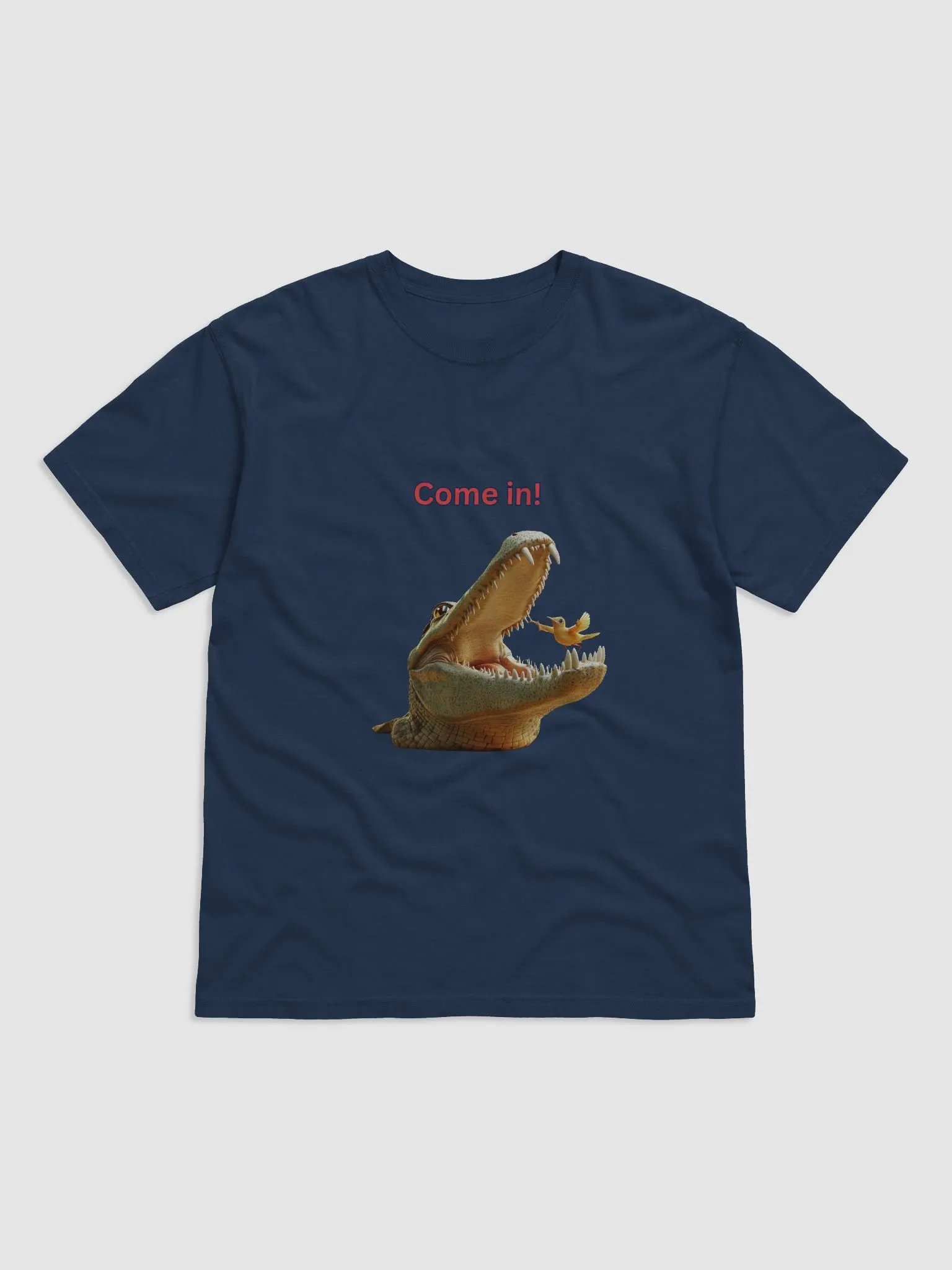 Come in! product image (1)