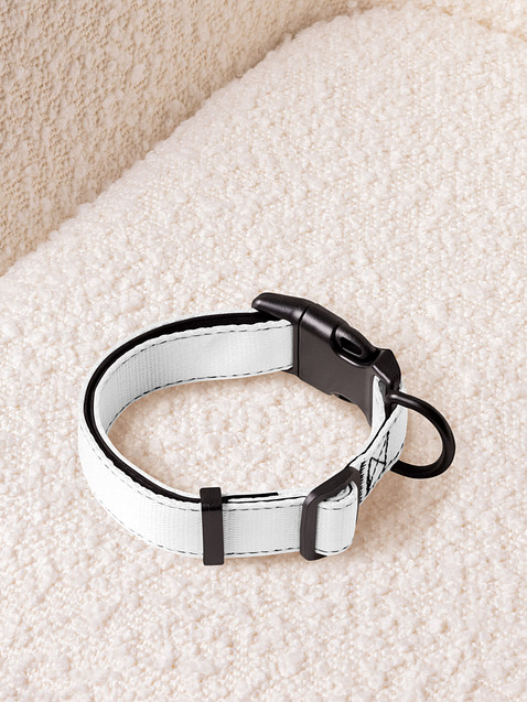 Photo showing Pet Collar