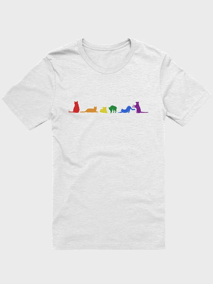 Rainbow Pride Cats Women's Shirt product image (10)