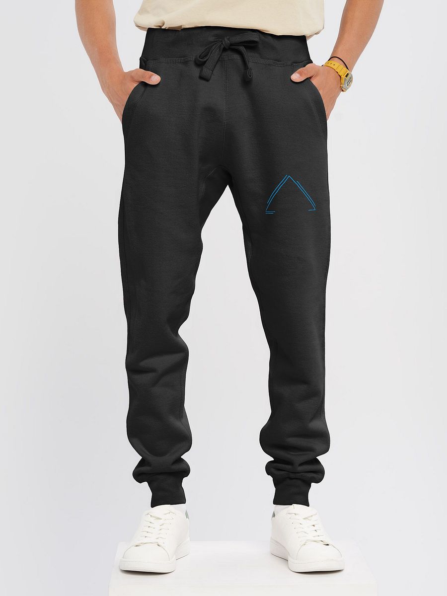 Blue Triangle Fleece Joggers product image (10)