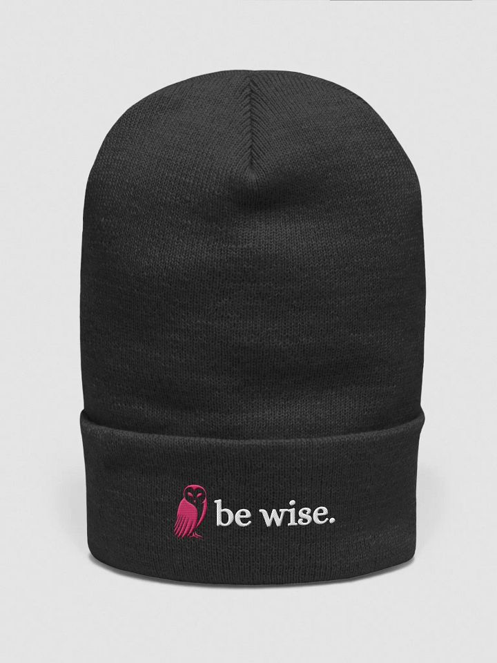 Be Wise. Owl Graphic Embroidered Beanie product image (1)