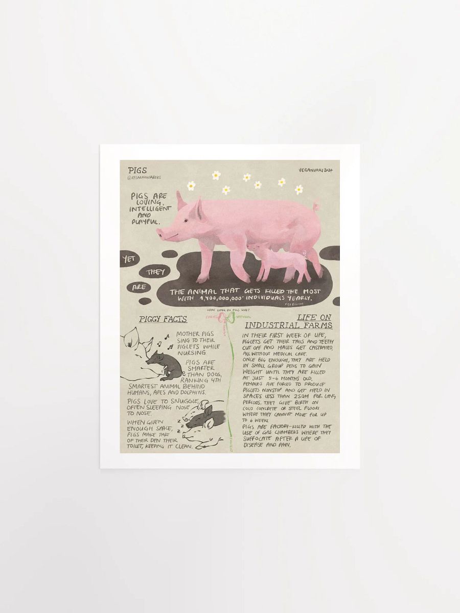Pig Educational Print – Veganuary 2024 product image (2)