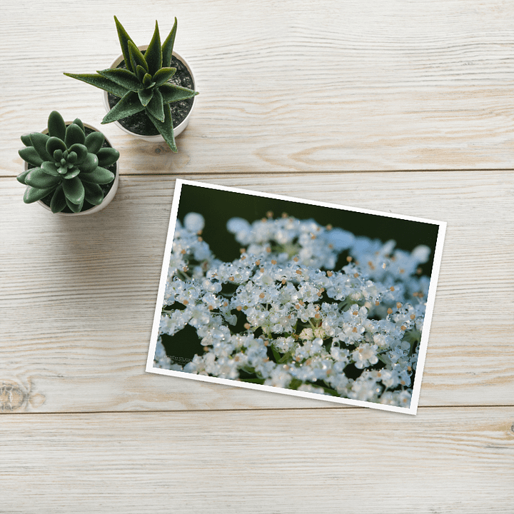 Dew Lace Greeting Card product image (1)