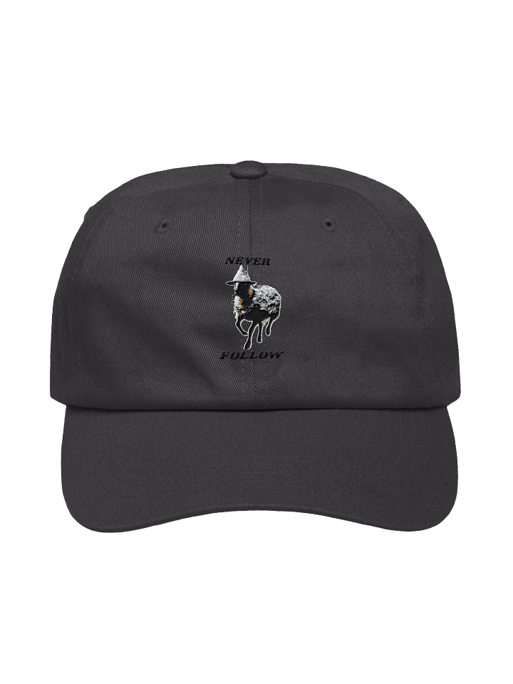 Webs & Shadows Black Sheep Dad Hat product image (1)
