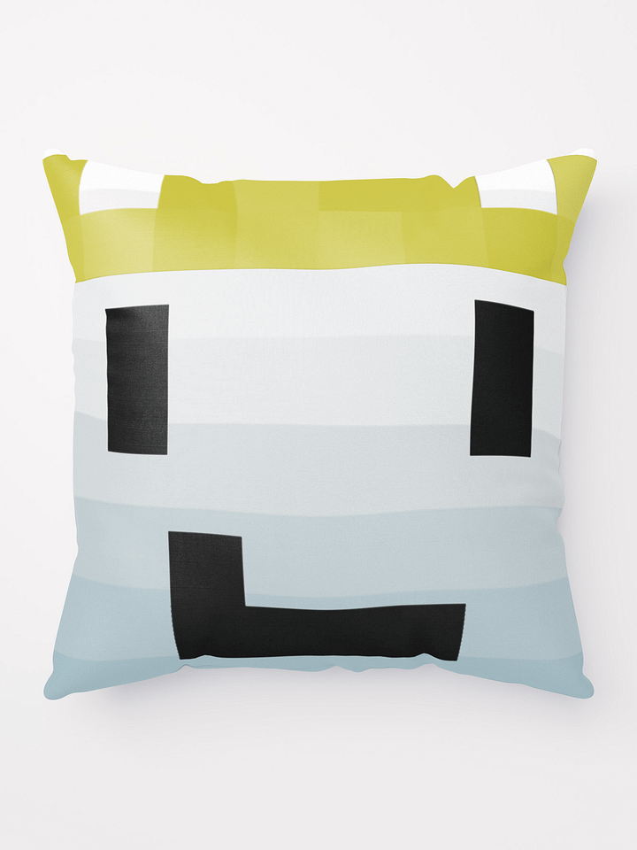 Coussin VLC product image (1)