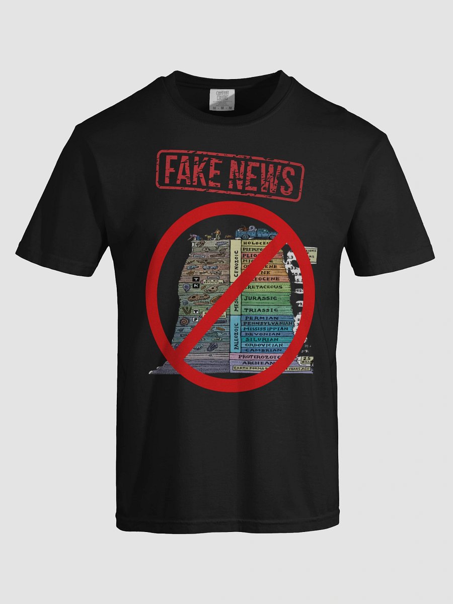 FAKE NEWS product image (13)