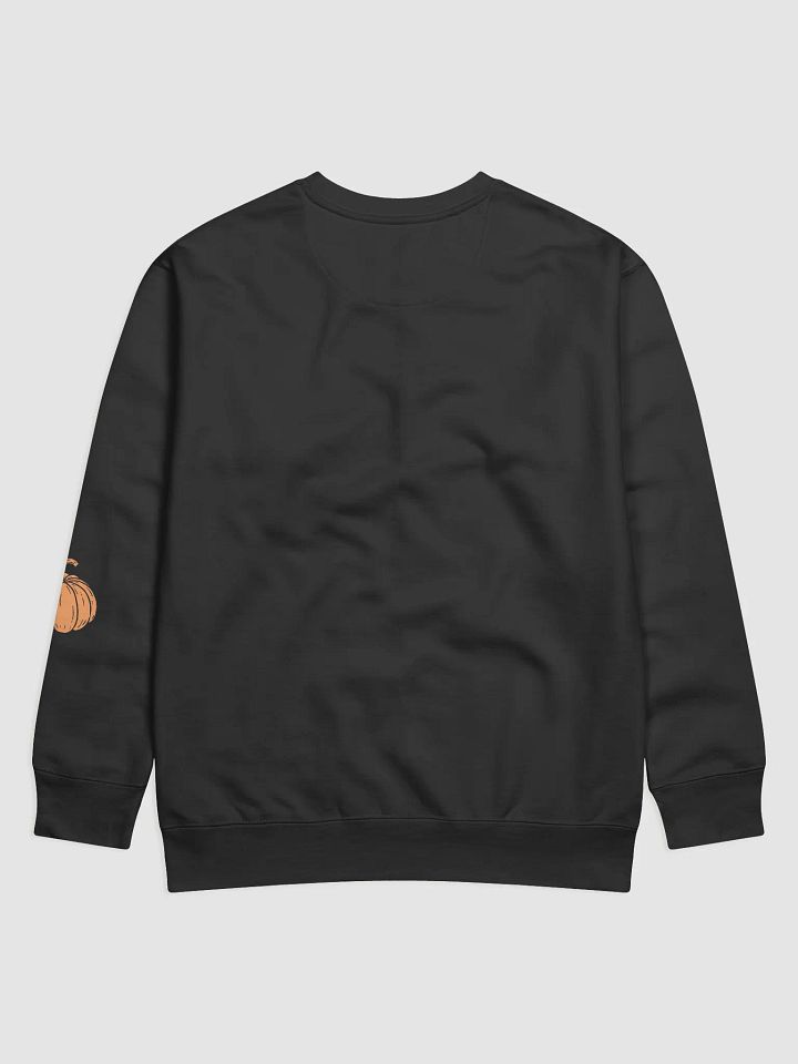 Stylish Pumpkin Illustration Premium Sweatshirt product image (2)