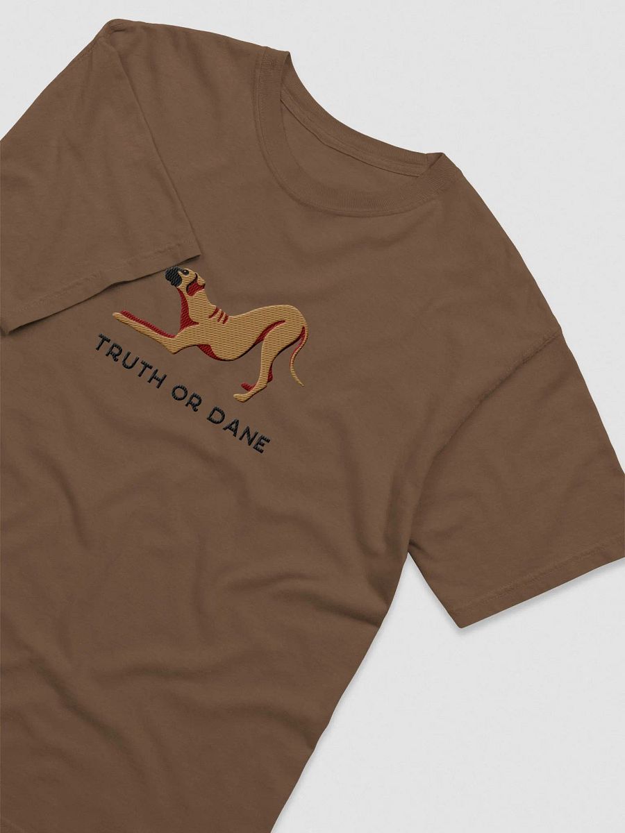 Truth or Dane T-Shirt(Embroidered) of a Great Dane product image (6)