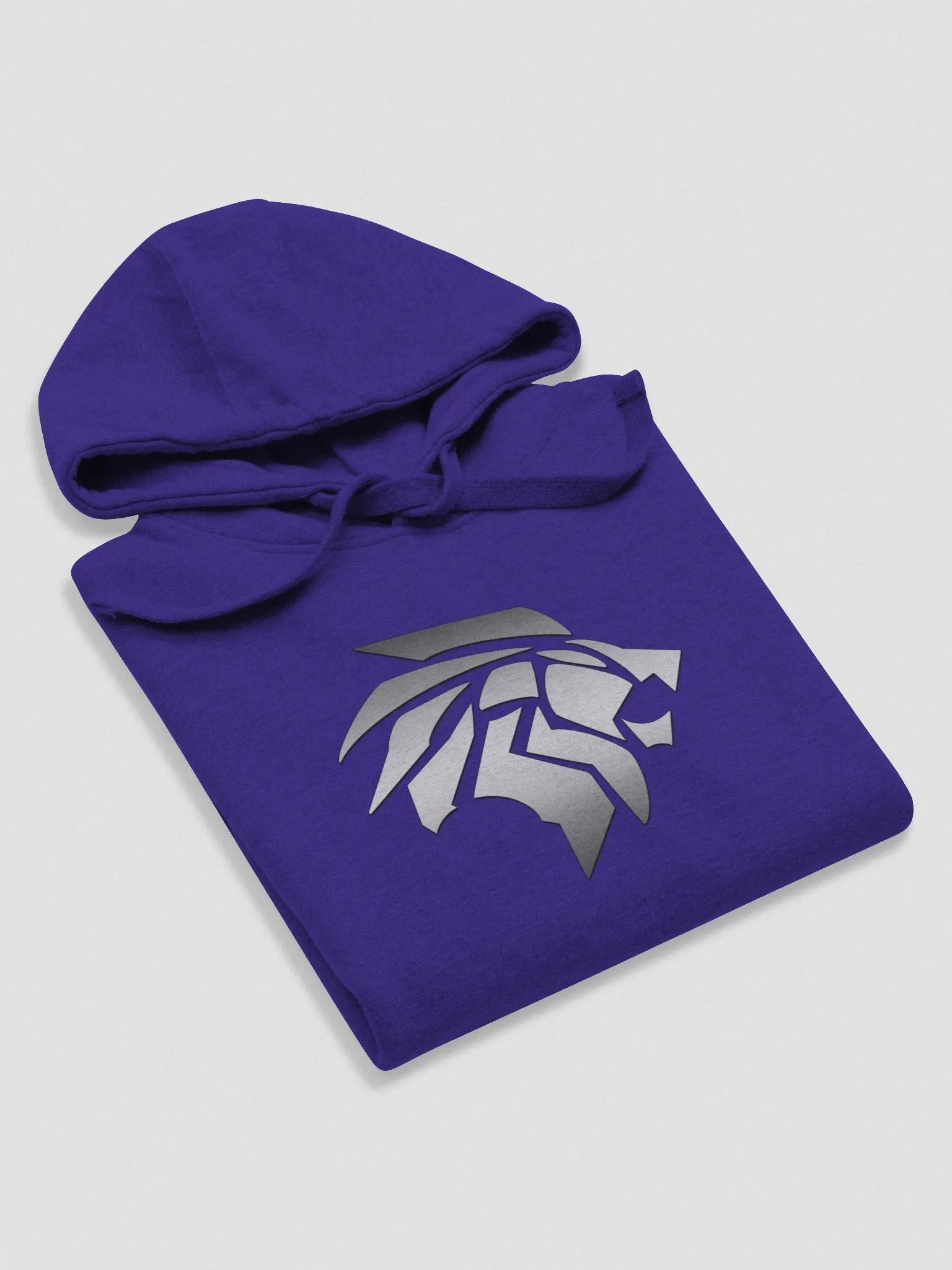 Big Logo Premium Hoodie - Unisex product image (44)