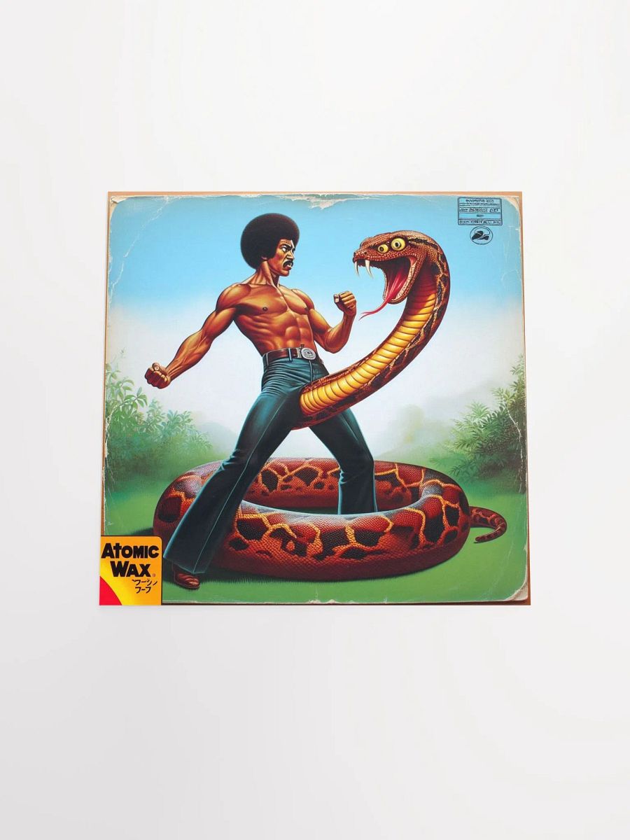 Kung Fu D*ck Poster product image (11)