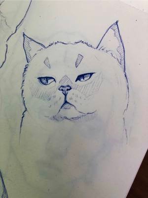 Dibujo rápido de un gato 🐈‍⬛ #catdrawing #drawingwithpencil #sketchart 